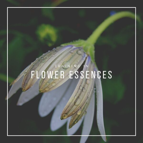 Flower Essences